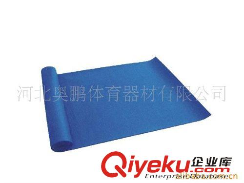 體操墊類 海綿體操墊 野餐墊 加厚訓(xùn)練墊 學(xué)校訓(xùn)練館專用墊子