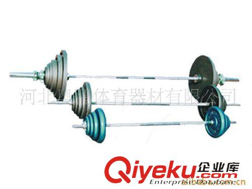舉重系列 體育用品生產(chǎn)廠家供應(yīng)杠鈴 本廠批發(fā)多種健身器材