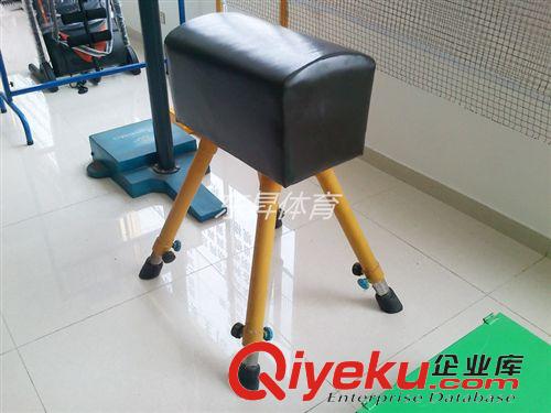 體操用品 優(yōu)質(zhì) ABS吊環(huán) 體操比賽 體育健身用品