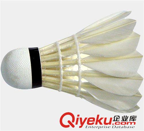 球拍系列 402羽毛球 耐打鵝毛羽毛球 訓(xùn)練用羽毛球 12只裝 學(xué)校單位指定用原始圖片2