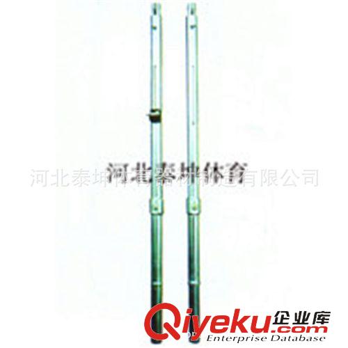 排羽網系列 廠家直銷移動式排球柱  固定式排球柱 電鍍地插式排球柱