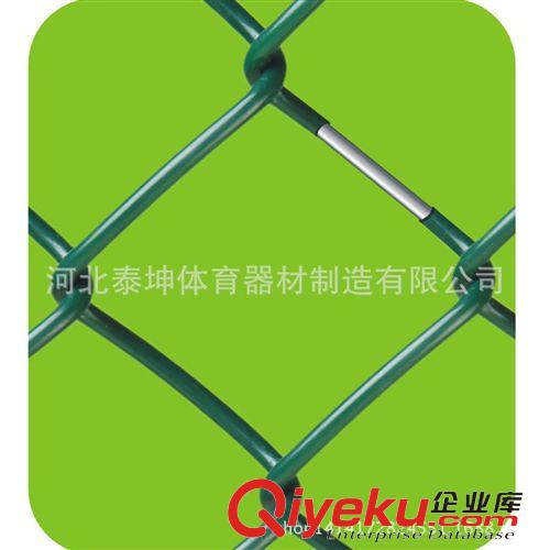 排羽網(wǎng)系列 網(wǎng)球場地圍網(wǎng) 籃球場圍網(wǎng) 排球場地圍網(wǎng) 羽毛球、乒乓球場地圍網(wǎng)