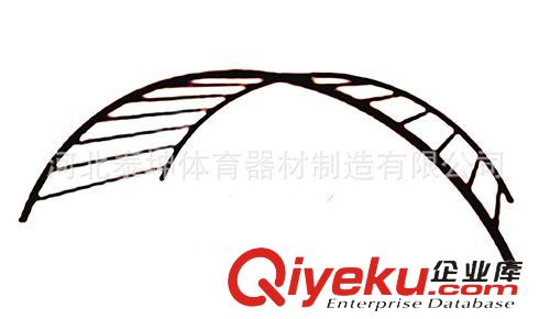 健身路徑器材 新品供應 中小學 兒童 室內外 健身器材 彩虹梯 彩虹橋原始圖片2