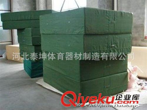 體操系列 廠家生產(chǎn)空翻墊 海綿墊 體操墊 運動健身墊仰臥起坐 3*2*0.3m