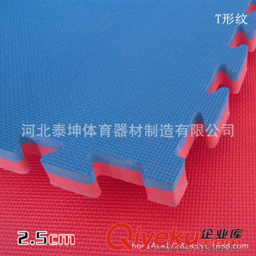 體操系列 廠家生產(chǎn)空翻墊 海綿墊 體操墊 運動健身墊仰臥起坐 3*2*0.3m