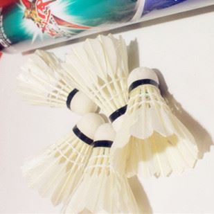 體育用品 zp戰(zhàn)甲ZJ7710羽毛球 12只裝 耐打羽毛球 娛樂用球訓(xùn)練用球批發(fā)原始圖片2