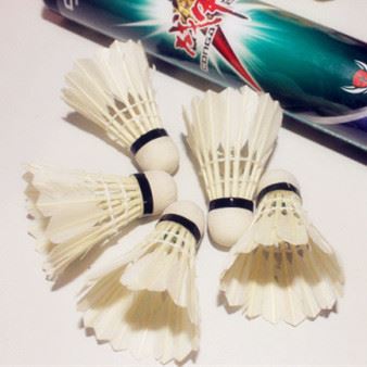 體育用品 zp戰(zhàn)甲ZJ7710羽毛球 12只裝 耐打羽毛球 娛樂用球訓(xùn)練用球批發(fā)原始圖片3