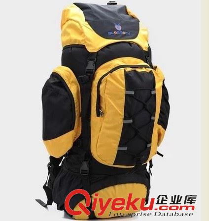 登山包類 70L登山包 雙肩包 野營包 字母包 贈(zèng)送防雨罩 8853原始圖片3