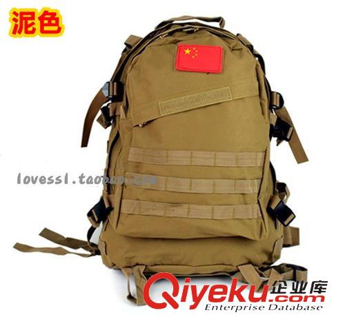 戶外包 雙肩登山徒步包 戶外運動包  戰術背包 尼龍防水 MOLLE系統原始圖片2