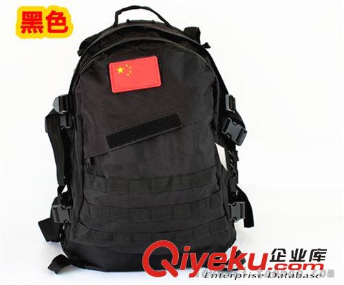 戶外包 雙肩登山徒步包 戶外運動包  戰術背包 尼龍防水 MOLLE系統原始圖片3