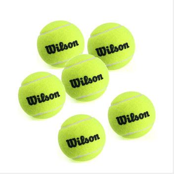 網(wǎng)球拍 網(wǎng)球 zpwilson Trainer Ball in Poly Bag 60粒袋裝 高級(jí)訓(xùn)練原始圖片2