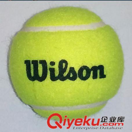 網(wǎng)球拍 網(wǎng)球 zpwilson Trainer Ball in Poly Bag 60粒袋裝 高級(jí)訓(xùn)練原始圖片3