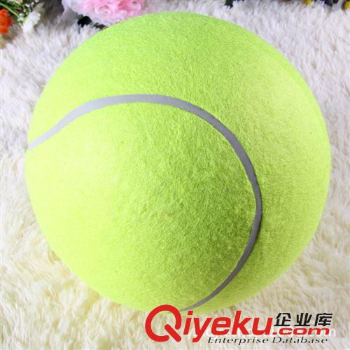 網(wǎng)球拍 網(wǎng)球拍 運(yùn)動(dòng)戶外 zp全碳素網(wǎng)球拍 費(fèi)德勒訓(xùn)練拍 明星款 wilson