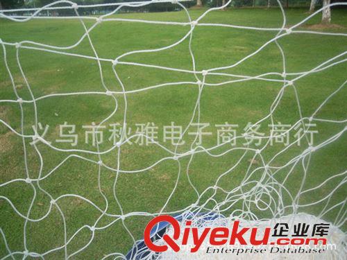 網(wǎng)繩系列 廠家供應(yīng) 優(yōu)質(zhì)足球網(wǎng) 標(biāo)準(zhǔn)7人制足球門網(wǎng) 聚乙烯材質(zhì) 結(jié)實(shí)耐用原始圖片3