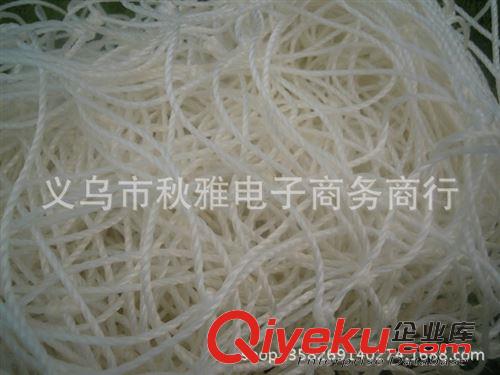 網(wǎng)繩系列 廠家供應(yīng) 優(yōu)質(zhì)聚乙烯足球網(wǎng) 5人制足球門網(wǎng)兜 比賽專業(yè)用網(wǎng)原始圖片2