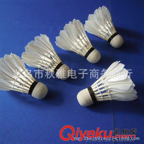 羽毛球用品 zptj阿姆斯gd羽毛球 阿姆斯訓練402型 一桶12只裝原始圖片3