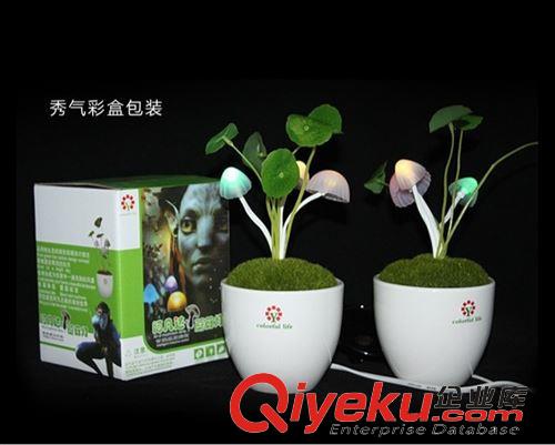 diy 創(chuàng)意禮品 【全網(wǎng){zd1}】zp 浪漫阿凡達(dá)蘑菇燈【陶瓷版】精美盒裝 送人體面原始圖片3