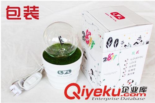 diy 創(chuàng)意禮品 【專利zp】情人節(jié)禮品浪漫花火小夜燈廠家直銷【5款可選】熱賣原始圖片3