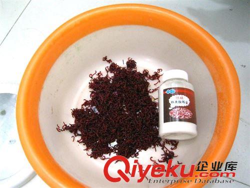 魚(yú)餌 紅蟲(chóng)拉餌寶 紅蟲(chóng)伴侶 紅蟲(chóng)膠 鯽魚(yú)餌 拉紅蟲(chóng)拉餌 赤戀 魚(yú)餌添加劑原始圖片2