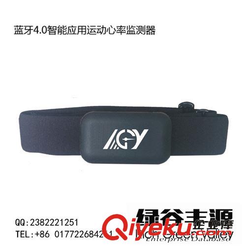 體質(zhì)測試儀器 藍牙4.0無線心率帶 心率胸帶 心率表 運動心率帶 廠家直銷