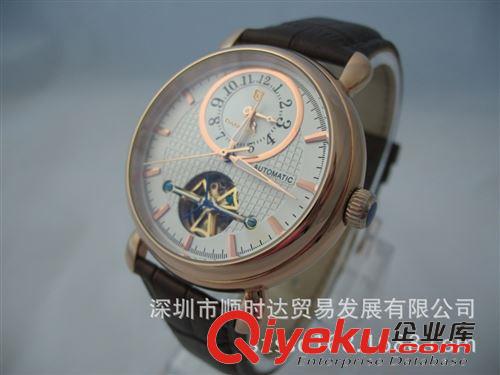 機(jī)械手表 深圳丹士頓鐘表廠定制加工禮品手表 gd機(jī)械手表 廠家現(xiàn)貨批發(fā)原始圖片3