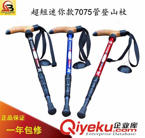 登山杖系列 叢林豹zp 超輕50%碳素登山杖 三節(jié)直柄EVA軟木登山杖 混色現(xiàn)貨
