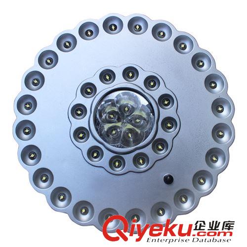 露營燈系列 混批手提燈野營地營 電筒兩用 窒內(nèi)外通用強光3W-LED6689臺燈100g
