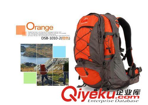登山包系列 [混批]登高者正品EYE 雙肩背包 登山包35L戶外包休閑包送防雨罩原始圖片2