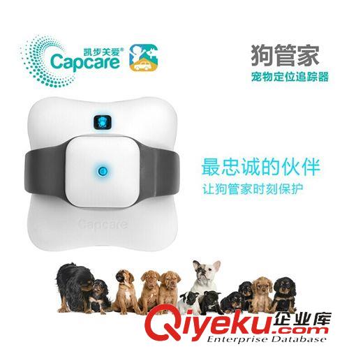 Capcare/凱步關(guān)愛 凱步關(guān)愛狗管家 GPSwxdw器gzqzzq防盜器寵物防走丟