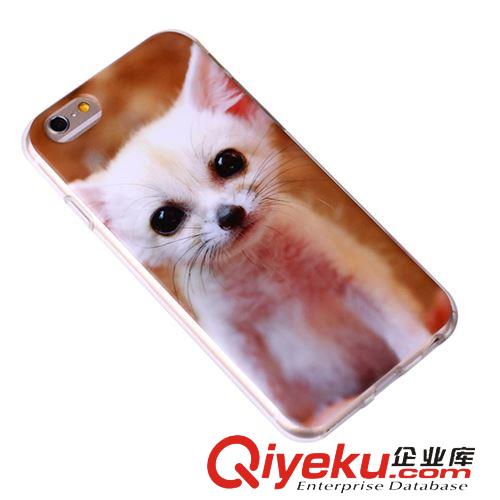 TPU手机壳 动物小猫iphone6手机tpu保护套 可爱美观pu手机壳