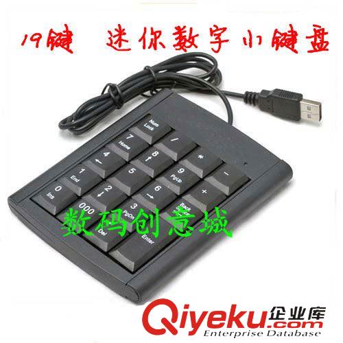 鍵盤 19鍵數字小鍵盤 財務專用數字小鍵盤  筆記本USB 迷你小鍵盤 便攜