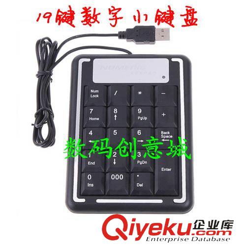 鍵盤 19鍵數字小鍵盤 財務專用數字小鍵盤  筆記本USB 迷你小鍵盤 便攜原始圖片2