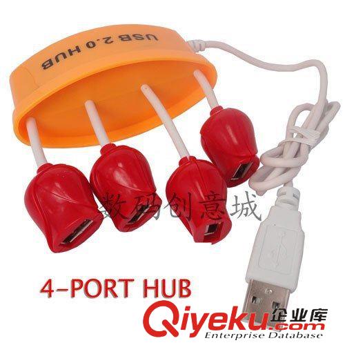 USB HUB 鞋子COMBO HUB讀卡器 USB2.0combo 可帶5