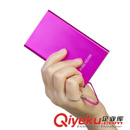 移動電源 【廠家供應(yīng)】新款超美觀移動電源  移動充電寶原始圖片3