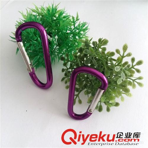 登山扣 廠家批發(fā) 精美D型登山扣 規(guī)格齊全 款式齊全 質(zhì)量保證