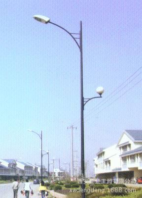 新品上市 長期批發(fā) 鍍鋅鋼管中式LED照明燈具道路照明燈原始圖片3
