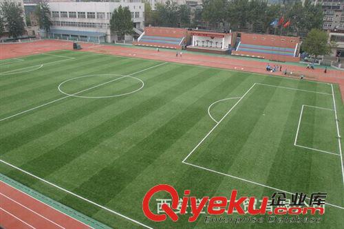 修改 《廠家直銷》 PU籃球場 網(wǎng)球場 PU塑膠地面運動場地墊 可定制原始圖片3