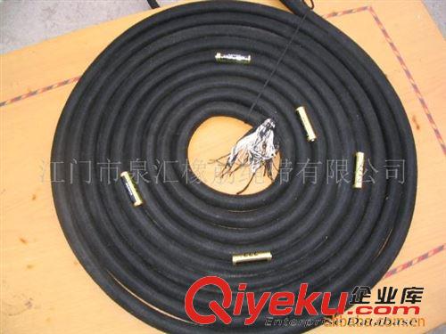 行李繩系列 專業(yè)彈力繩行李帶Bungee Cords