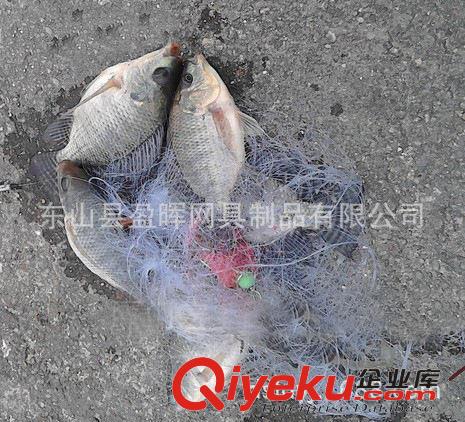 漁業用具 tg誘魚網:新型捕魚網,漁網