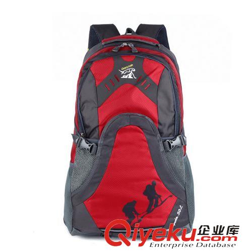 節(jié)慶禮品 2014年新款暢銷外貿(mào)學(xué)生包50L戶外運(yùn)動(dòng)雙肩包旅行包原始圖片2