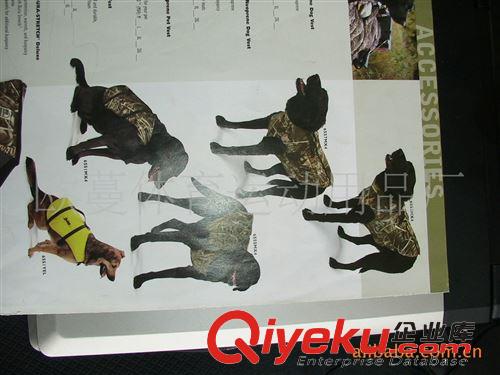 小背心、吊帶衫、裹胸 狗衣(各種樣品.圖樣及尺寸按客人要求打樣標準生產大貨)