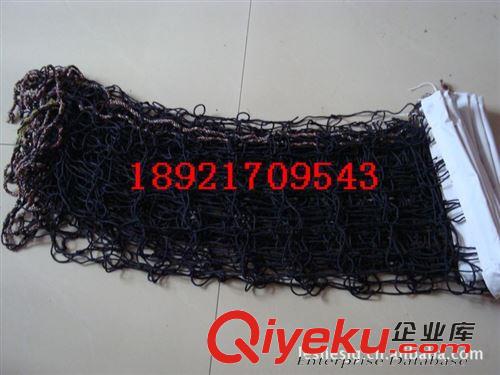 排球器材 廠家直銷 gd錦綸排球網 排球用品