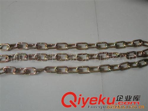 鏈條 【廠家直銷】全國供應優(yōu)質手拉鏈(圖)原始圖片3