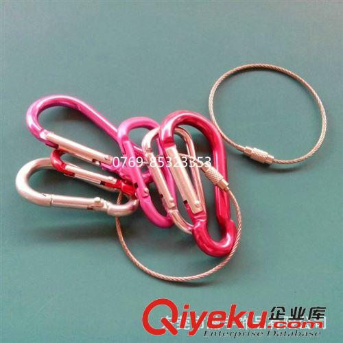 鋼絲繩 大量生產(chǎn)各種不銹鋼鋼絲繩 鑰匙鋼絲圈 行李牌吊牌鋼絲環(huán)原始圖片2