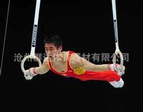 體操田徑系列 廠家直銷供應浸塑吊環 體操吊環 鐵吊環 健身器材原始圖片2