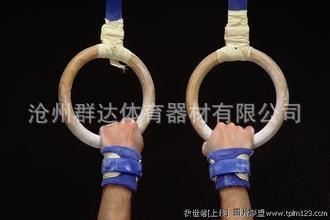 體操田徑系列 廠家直銷供應浸塑吊環 體操吊環 鐵吊環 健身器材原始圖片3