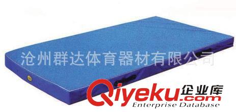 體操田徑系列 批發(fā)體操用品 體操彩帶批發(fā) 藝術(shù)體操專用彩帶