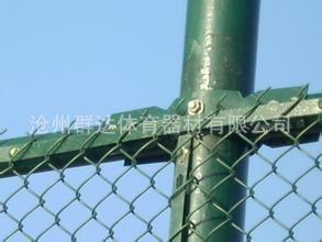 場地護(hù)網(wǎng)系列 廠家定做安裝場地圍網(wǎng) PE包塑球場圍網(wǎng) 體育圍網(wǎng)原始圖片3