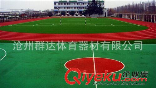 塑膠場地系列 供應國際標準塑膠跑道 學校球場 幼兒園地面塑膠地坪 安全可靠