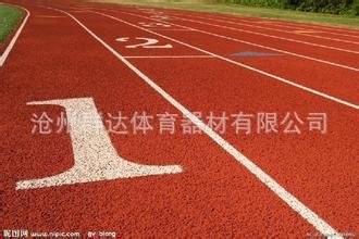 塑膠場地系列 廠家供應塑膠跑道  混合型塑膠跑道 足球場塑膠跑道